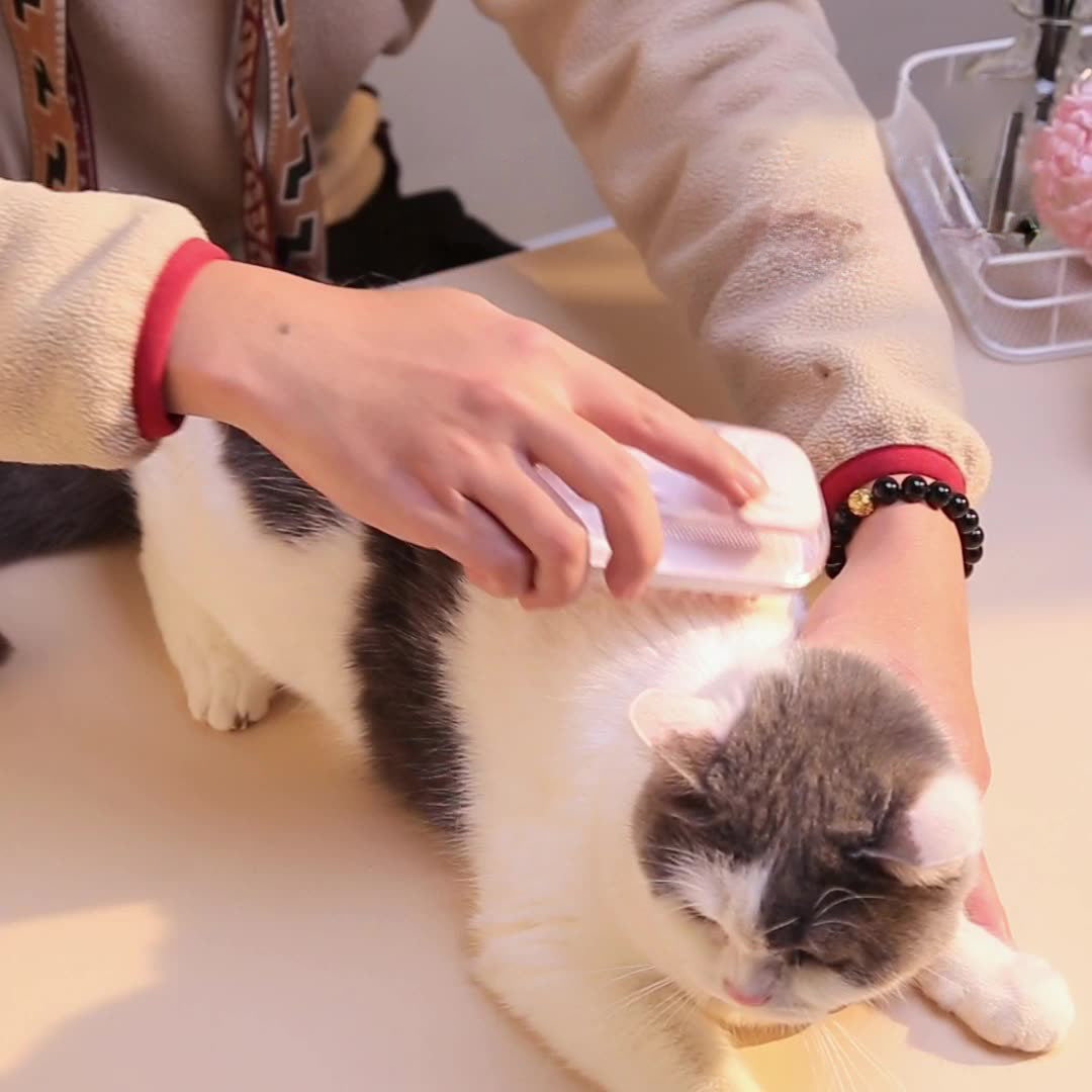 Massage- og rengøringsbørste til hunde og katte 